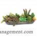 Dalmarko Designs Faux Succulents Centerpiece in Vase DALD1338